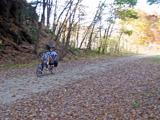 Fall colors on the way back from Elroy